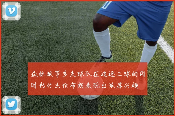 森林狼等多支球队在追逐三球的同时也对杰伦布朗表现出浓厚兴趣
