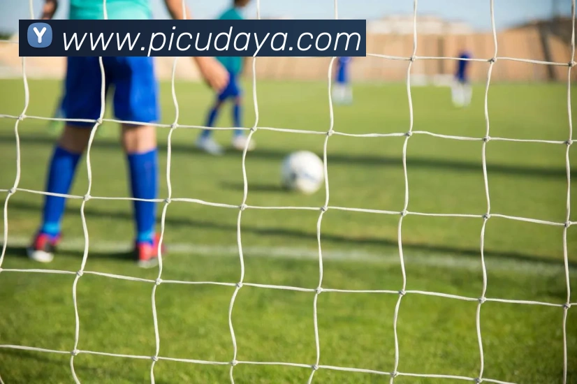 奖项图1